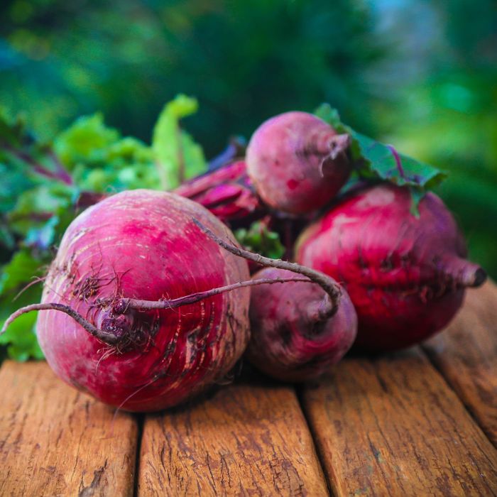 Bietola da Orto Egitto Migliorata | ‎ Bestprato by Hortus