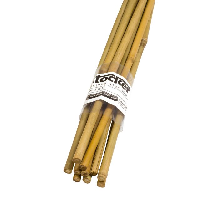 Canne di Bambù Sottili Stocker