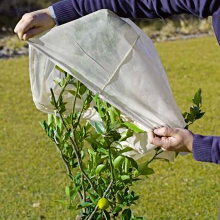 Cappuccio Protettivo per Piante | Stocker 2x2.4 metri