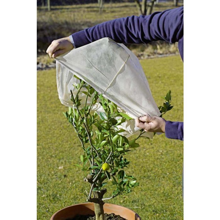 Cappuccio Protettivo per Piante | Stocker 2x2.4 metri