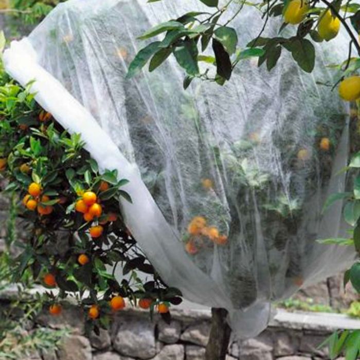 Cappuccio Antigelo Protettivo per Piante | Stocker 1x1.6 metri