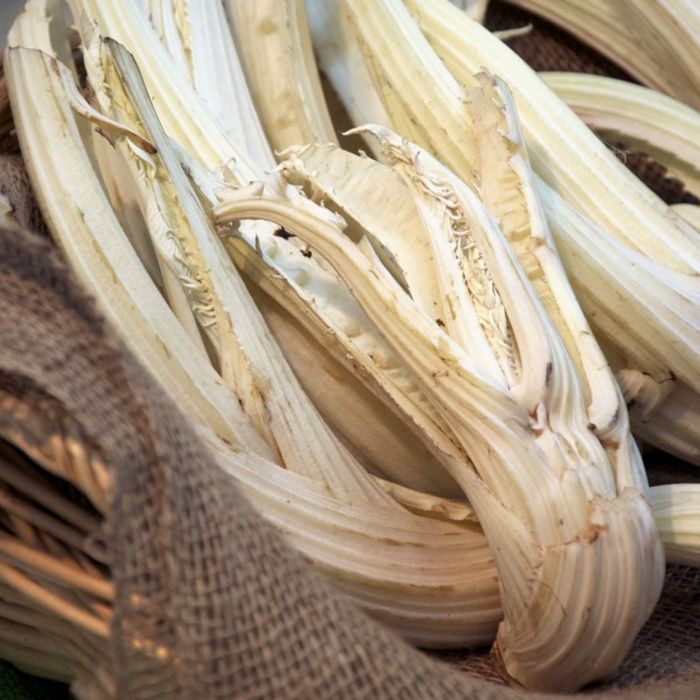 Cardo Gigante di Romagna | ‎ Bestprato by Hortus