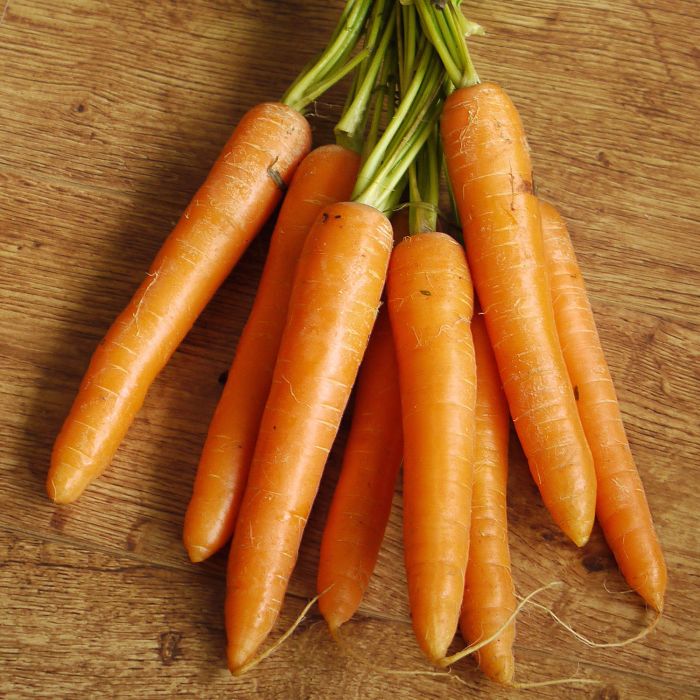 Carota Berlicum 2 | ‎ Bestprato by Hortus