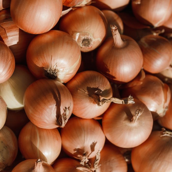 Cipolla Dorata di Parma | ‎ Bestprato by Hortus