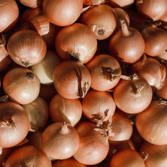 Cipolla Texas Early Grano | ‎ Bestprato by Hortus