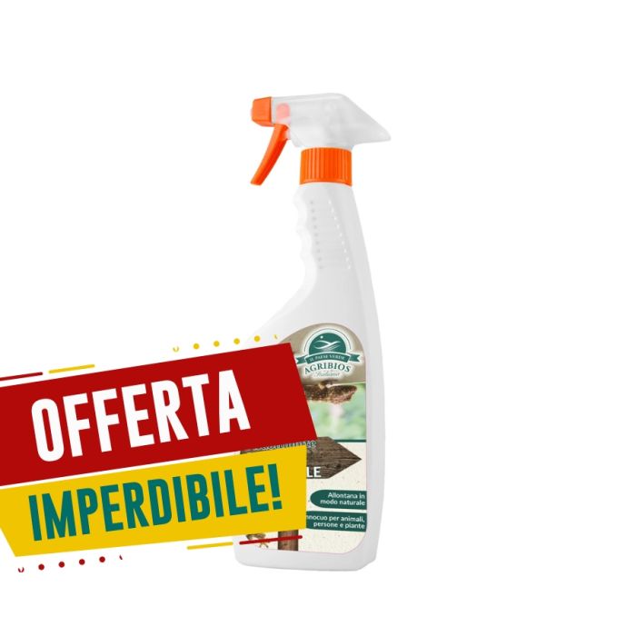 Disabituante Gechi e Lucertole