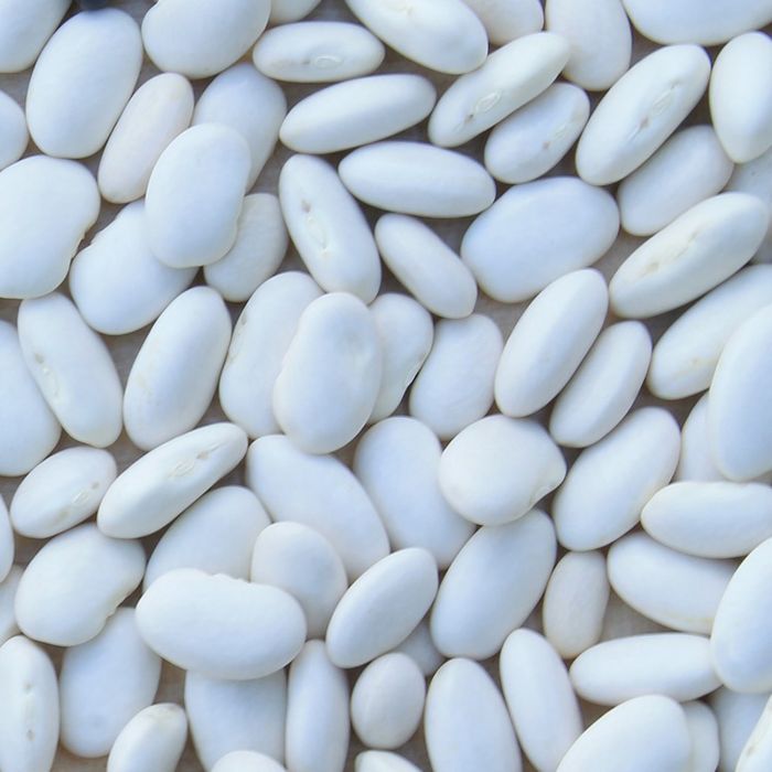 Fagiolo Blue Lake Rampicante | ‎ Bestprato by Hortus