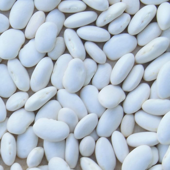 Fagiolo Cannellino Nano 250 gr | ‎ Bestprato by Hortus