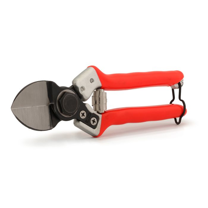 Forbice da Potatura Professionale Castellari Lady II 