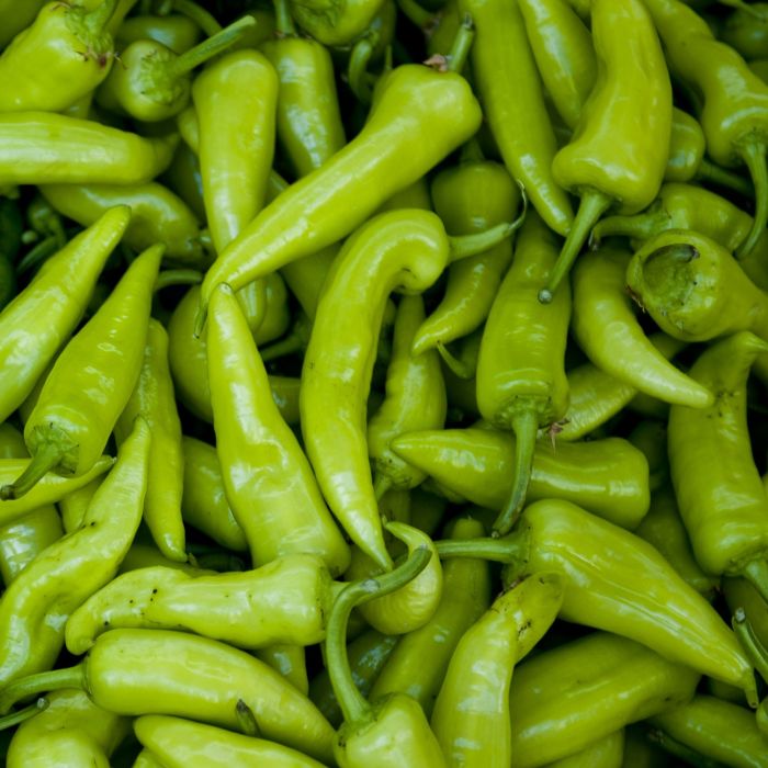 Peperone Friggitello (Friariello) | ‎ Bestprato by Hortus