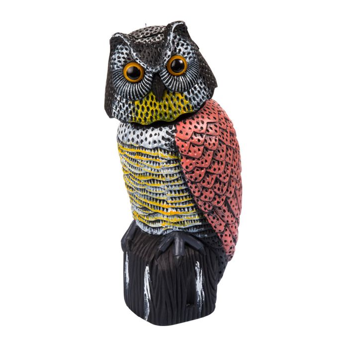 Gufo Spaventapasseri | Stocker