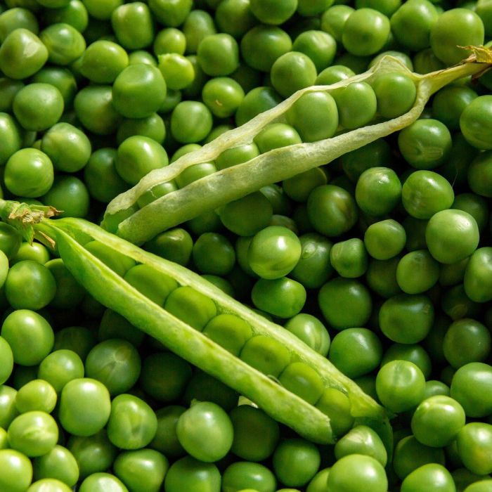 Pisello Mezza Rama Utrillo | ‎ Bestprato by Hortus