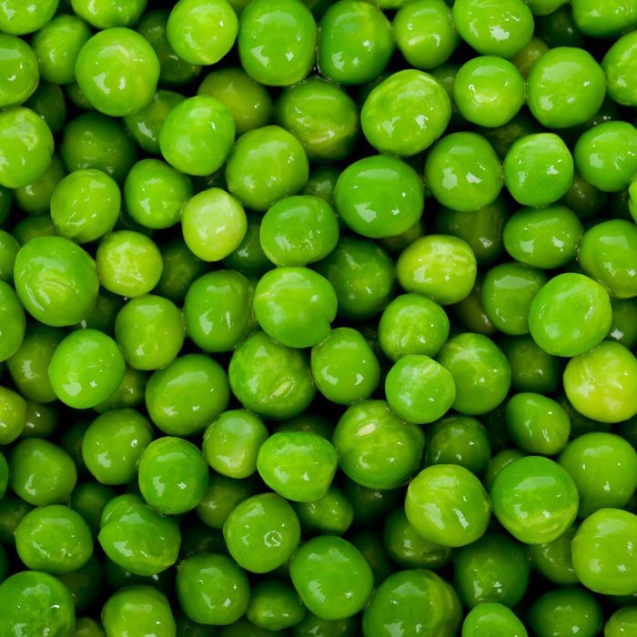 Pisello Telefono Rampicante | ‎ Bestprato by Hortus