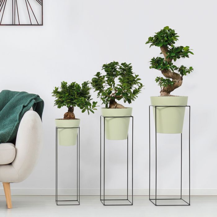 Portavaso Moderno Design Arkè Up Medium Nicoli