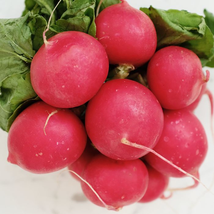 Ravanello Burro Gigante | ‎ Bestprato by Hortus