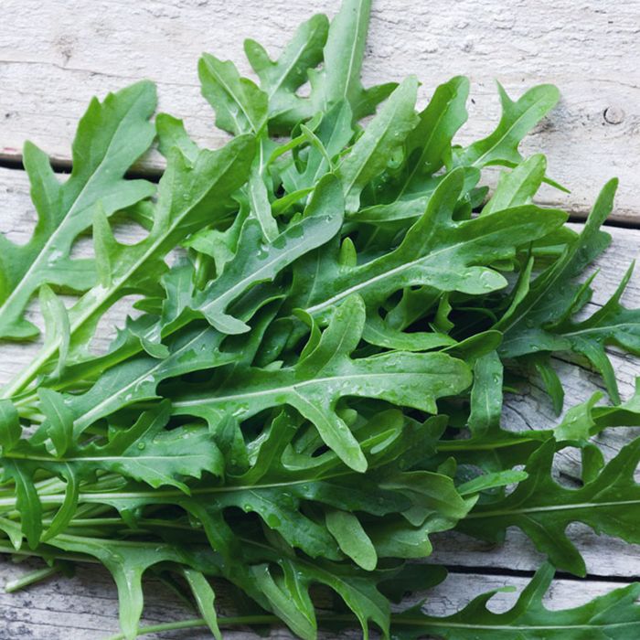 Rucola Selvatica | ‎ Bestprato by Hortus