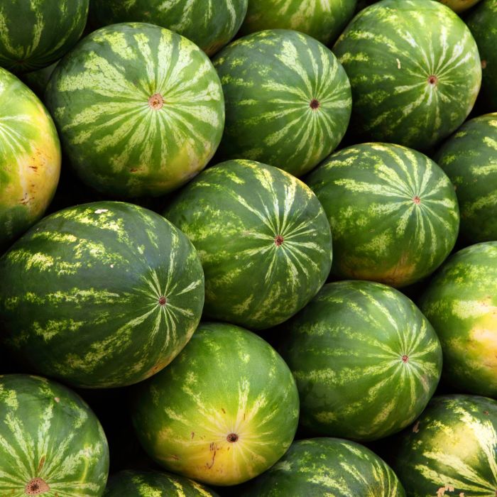 Anguria Crismon Sweet | ‎ Bestprato by Hortus