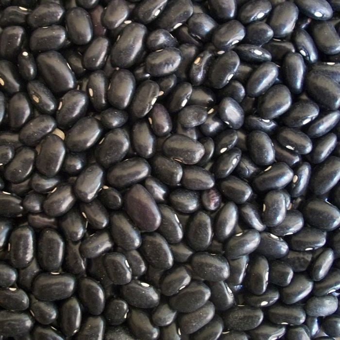 Fagiolo Rocquencourt Nano 250 gr | ‎ Bestprato by Hortus