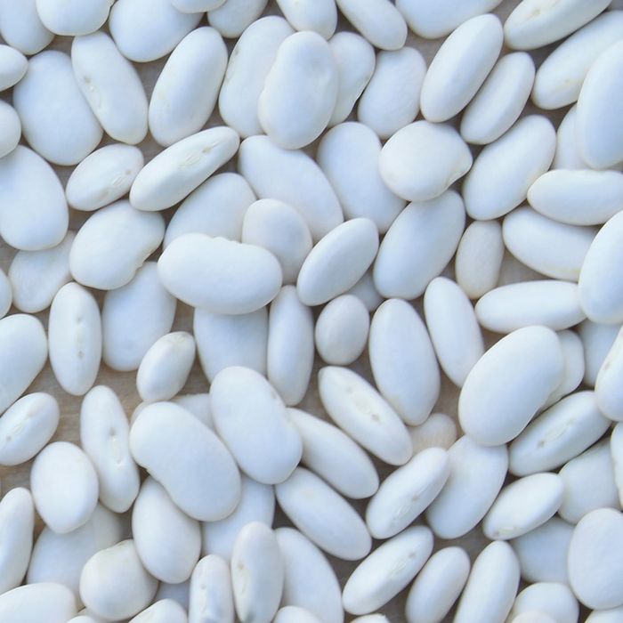 Fagiolo Marconi Nano 250 gr | ‎ Bestprato by Hortus