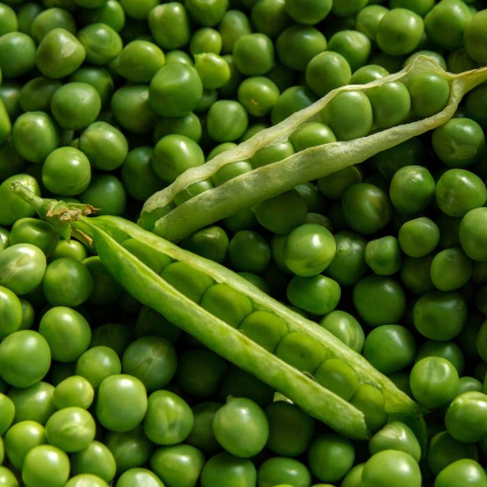 Pisello Mezza Rama Rondo Biologico | ‎ Bestprato by Hortus