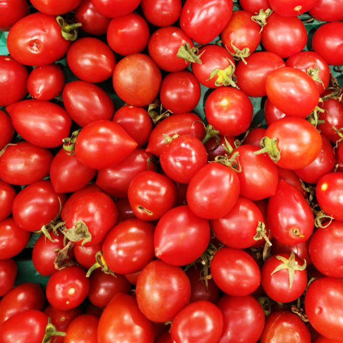 Pomodoro Principe Borghese | ‎ Bestprato by Hortus