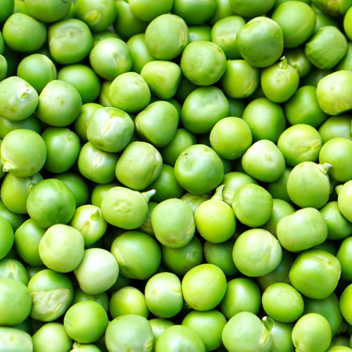 Pisello Progress n°9 250 gr | ‎ Bestprato by Hortus