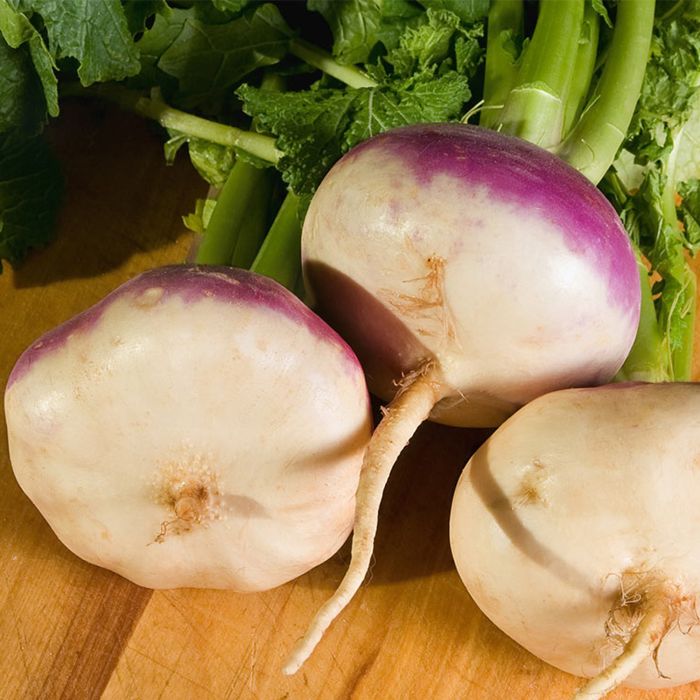 Rapa di Milano a Colletto Viola | ‎ Bestprato by Hortus