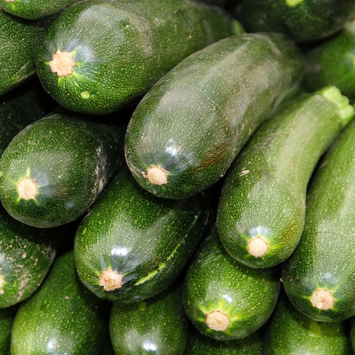 Zucchino Nano Verde di Milano | ‎ Bestprato by Hortus