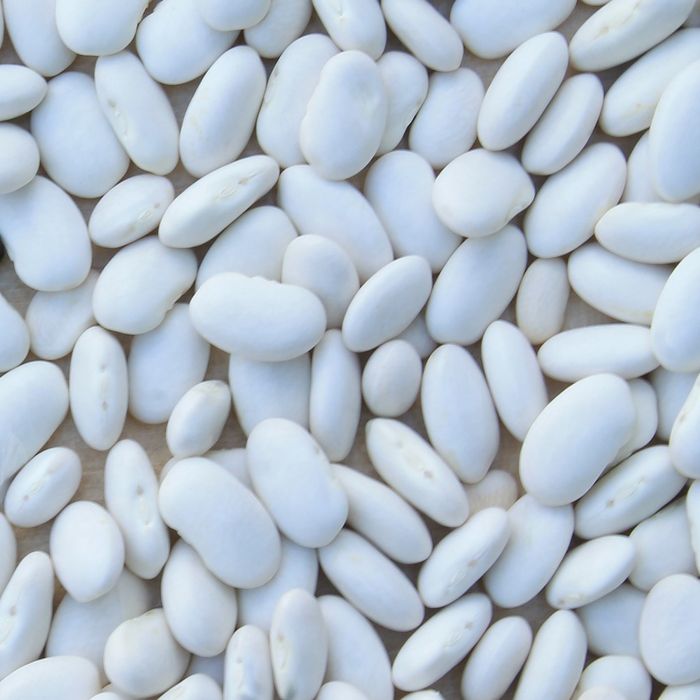 Fagiolo Bronco Nano | ‎ Bestprato by Hortus