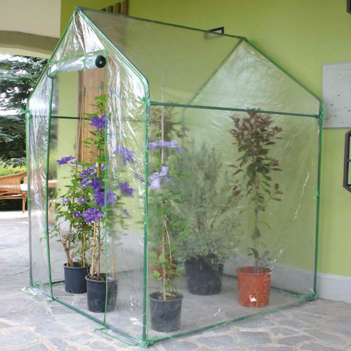 Serra a Casetta Clematis Verdemax