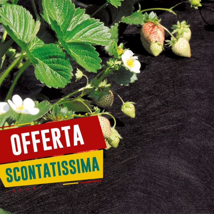 Telo per pacciamatura 