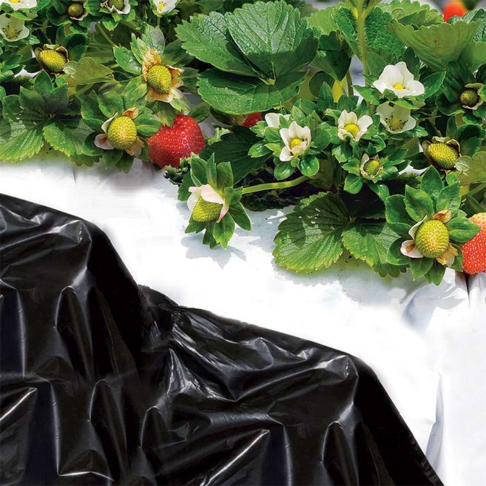 Telo Bianco Nero per Orto - 1,4 x 10 m | Tenax