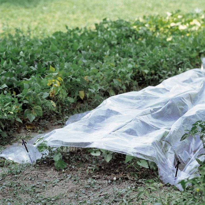 Telo per tunnel orto 2x5 m