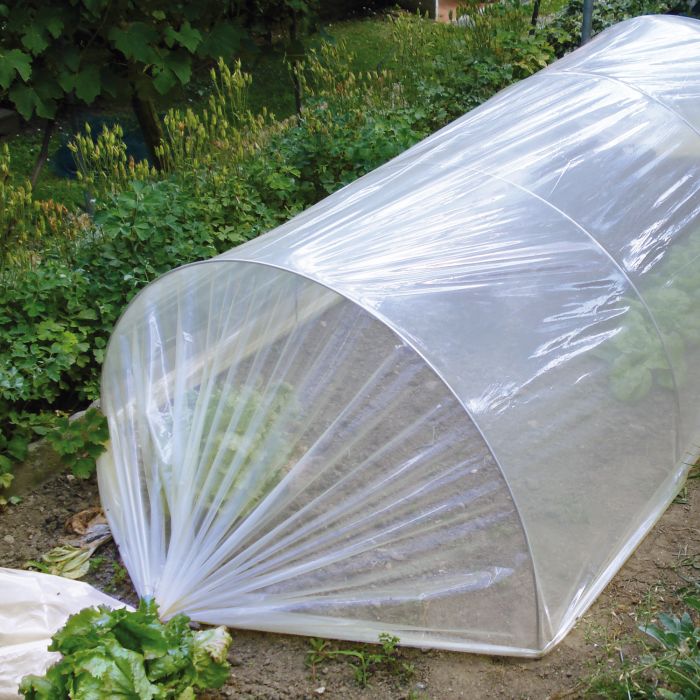 Telo Trasparente Coat Film - 2 x 10 m | Tenax