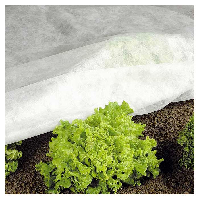 Telo Antigelo per Piante Stocker