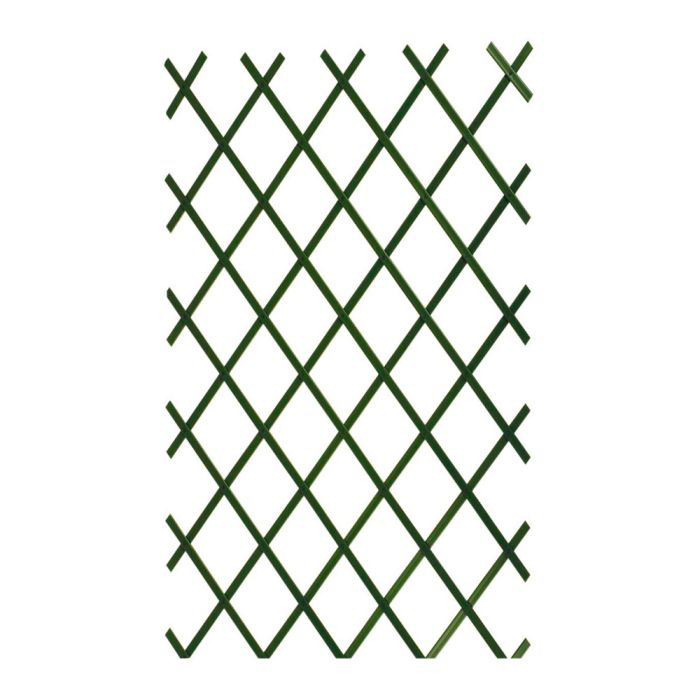 Traliccio in PVC Verde 2 x 1 m Verdemax