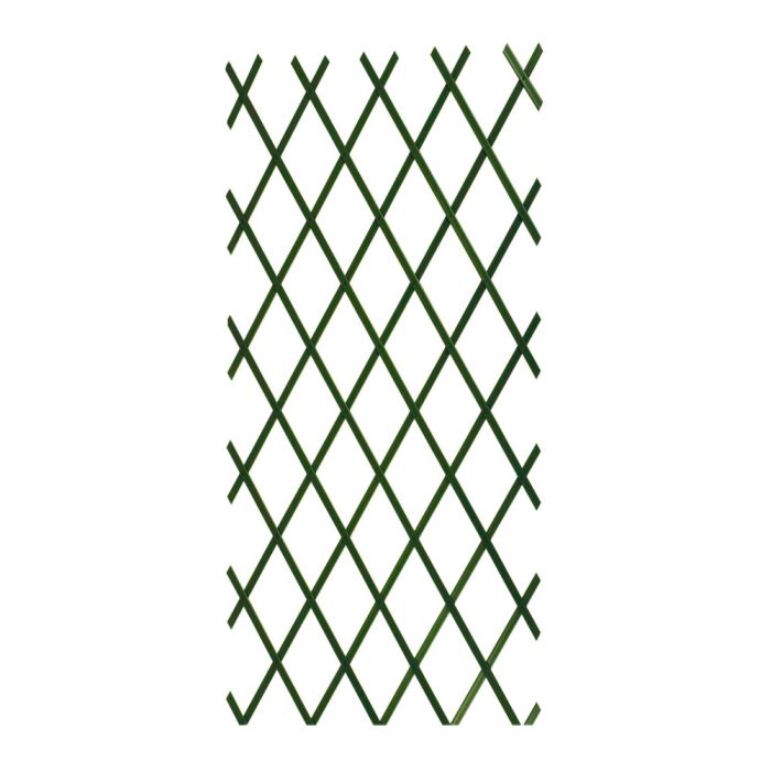 Traliccio in PVC Verde 3 x 1 m Verdemax