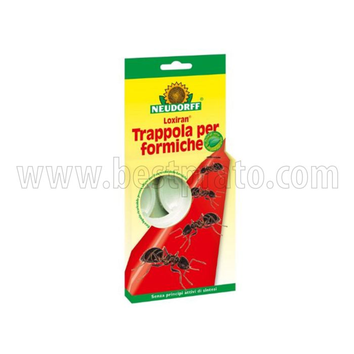 Trappola Naturale per Formiche Lorixan Neudorff