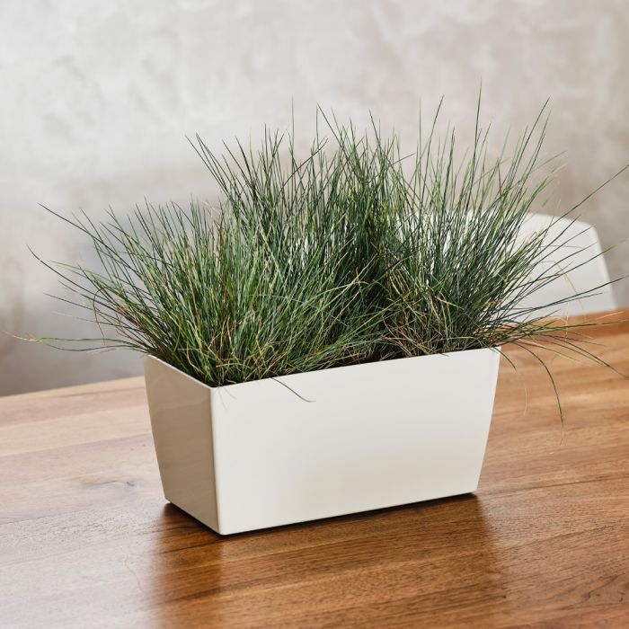 Vasi plastica rettangolari colorati Coimbra Teraplast