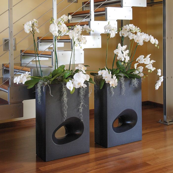 Lullaby Mod'O Oltrevaso