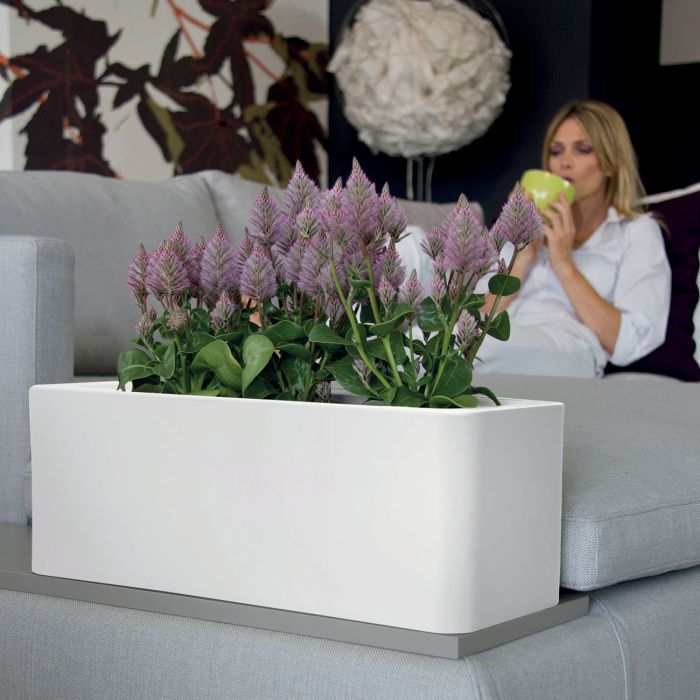 Cassetta design in resina Calypso Matt