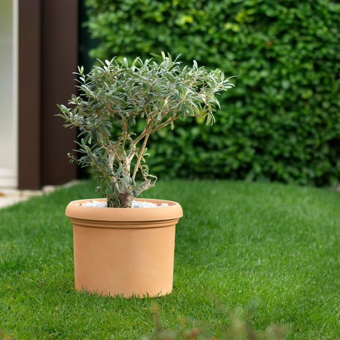 Vaso Vicenza | Teraplast