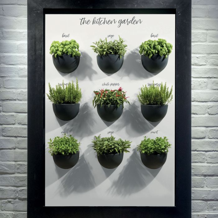 Vaso da parete in resina Clio