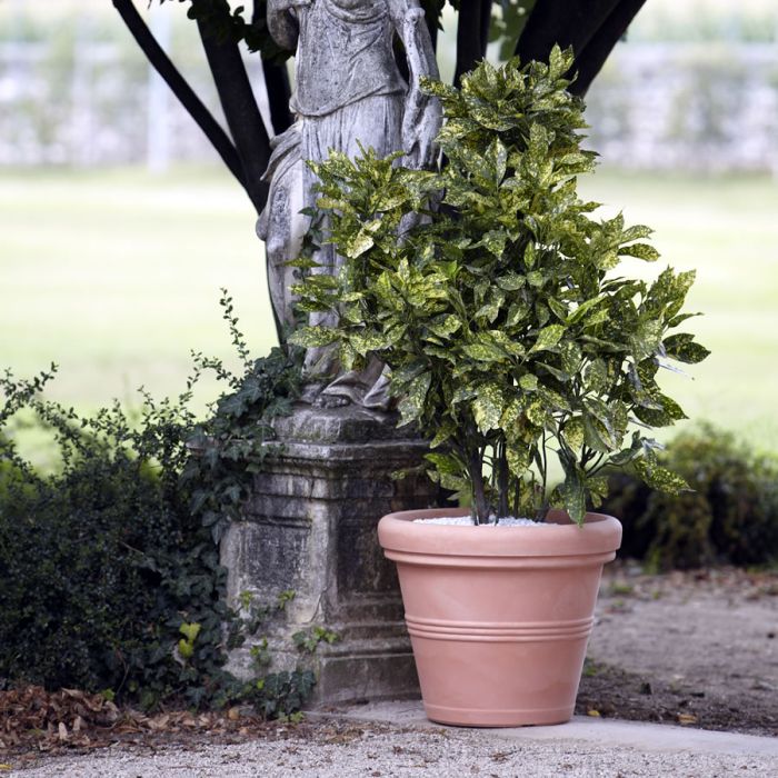 Vaso Doppiobordo Nicoli