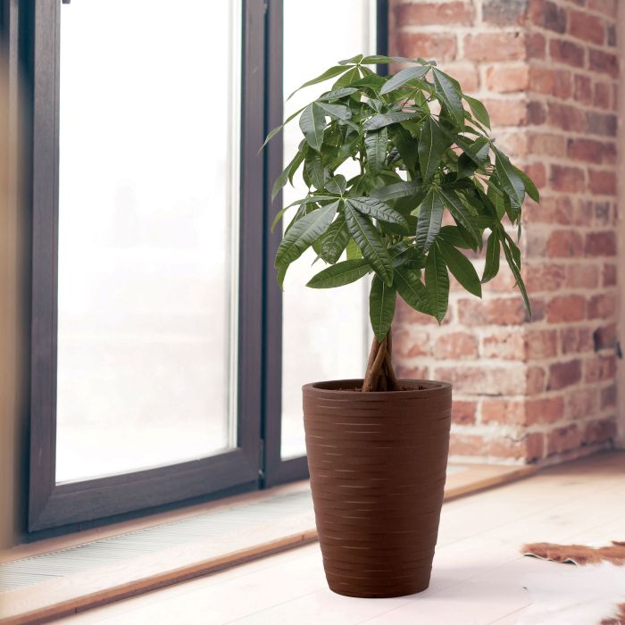 Vaso design in resina Tylus Elegance