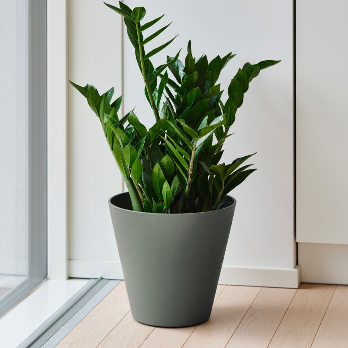 Vaso tondo in plastica Hoop Teraplast