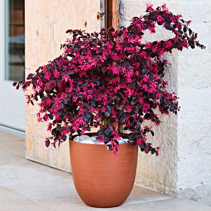 Vaso tondo in plastica riciclata Over Teraplast