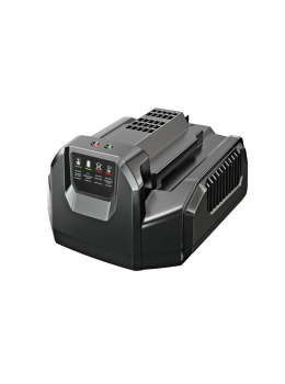 Caricabatterie Standard 120 Watt Ego