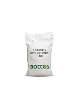 Agrostide Stolonifera - 1 Kg