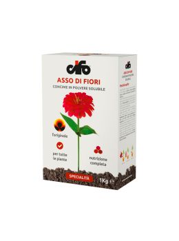 Asso di Fiori | Cifo 